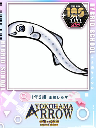 <!--{$staff.staff_name}-->